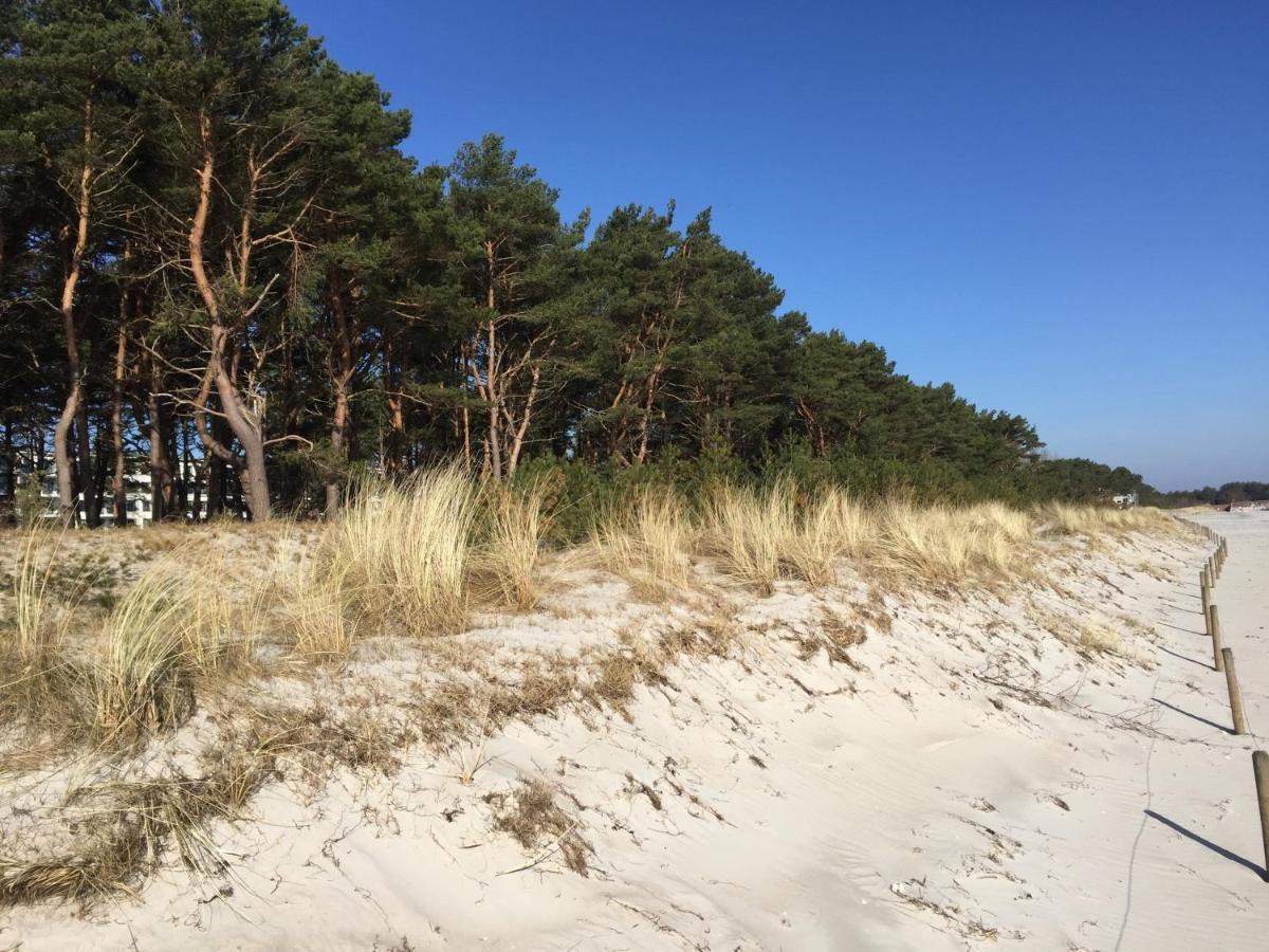 Strandresidenz Silbermöwe V22 Inklusive 1 Strandkorb